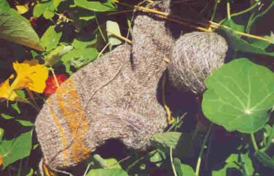 Socken aus Wolle vom Gotländischen Pelzschaf